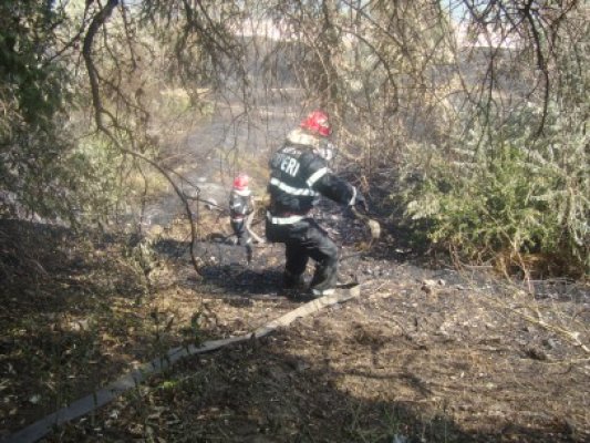 Moarte cumplită în Mamaia: a ars de viu într-o baracă